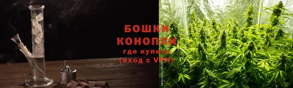гидропоника Мегион