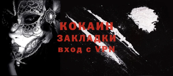 индика Михайловск