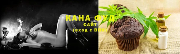 индика Михайловск