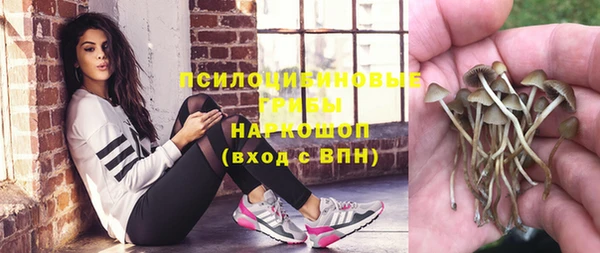 гидропоника Мегион