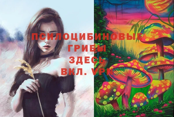 spice Медногорск