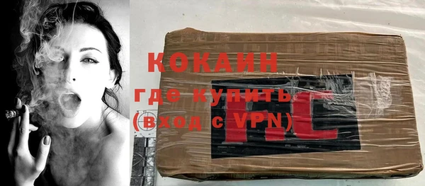 индика Михайловск
