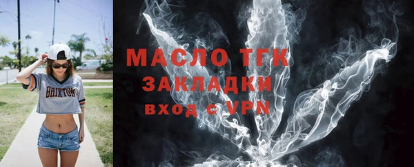 индика Михайловск